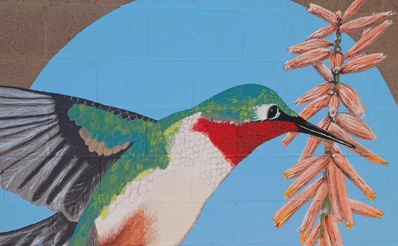 Mural de un colibrí y una flor del desierto en el Pocket Park de Miramonte
