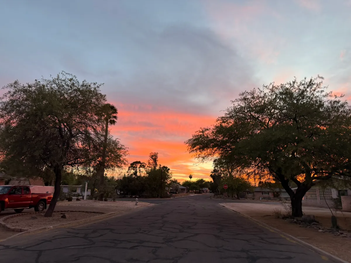 Una calle de casas estilo rancho de Miramonte al atardecer, con el cielo naranja detrás de los mezquites